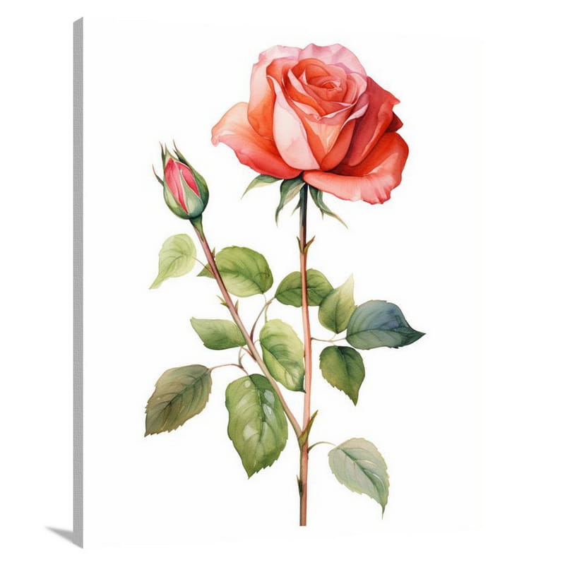 Rose's Serenade - Canvas Print