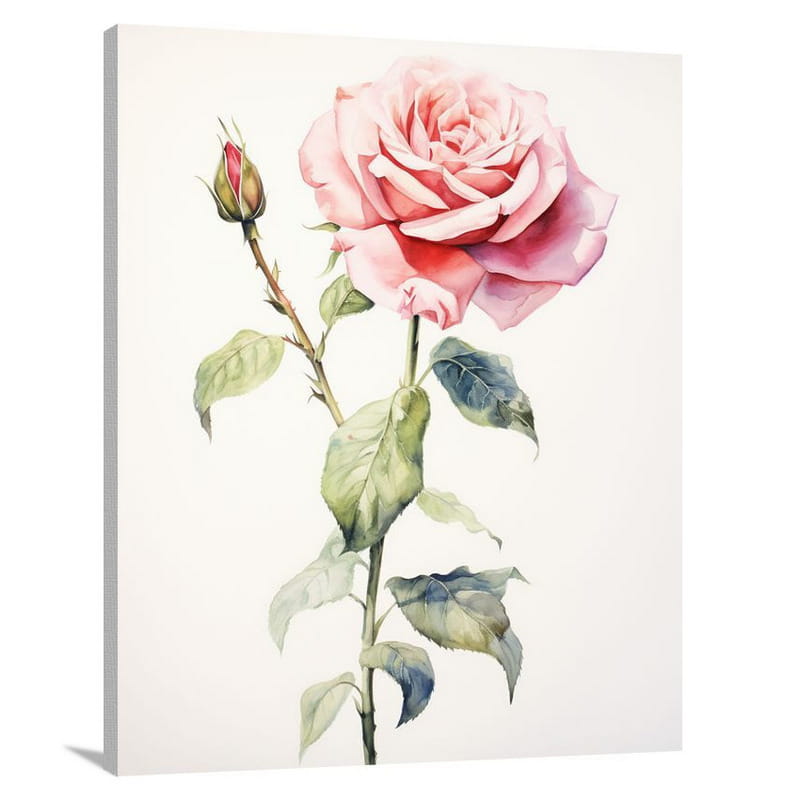 Rose's Serenade - Watercolor - Canvas Print