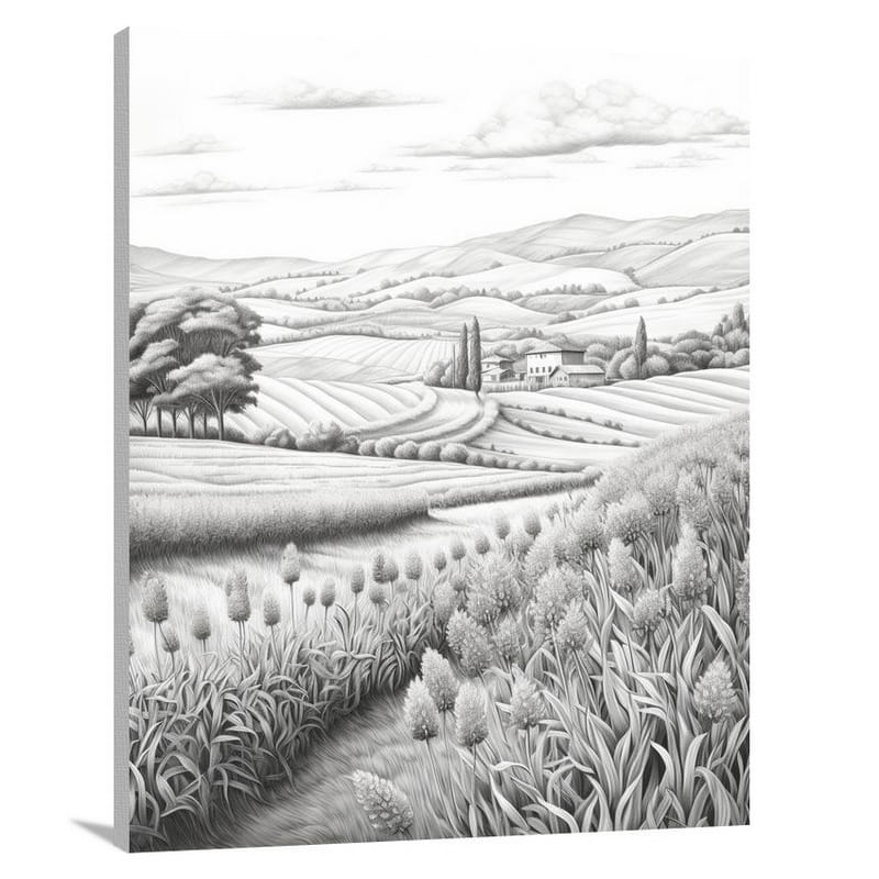 Serbian Lavender Fields - Canvas Print