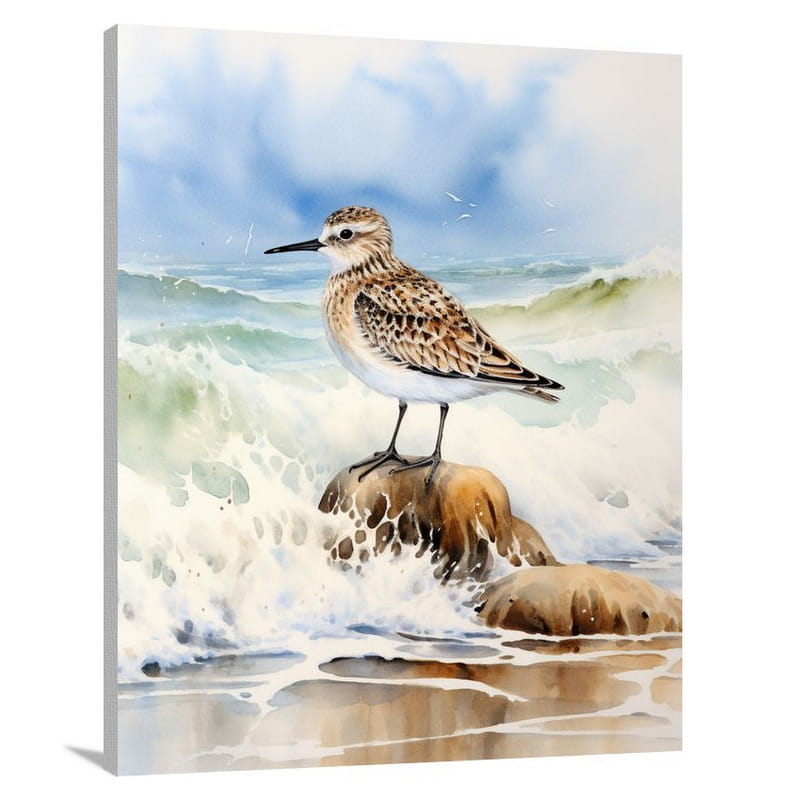 Serenade of the Sandpiper - Canvas Print