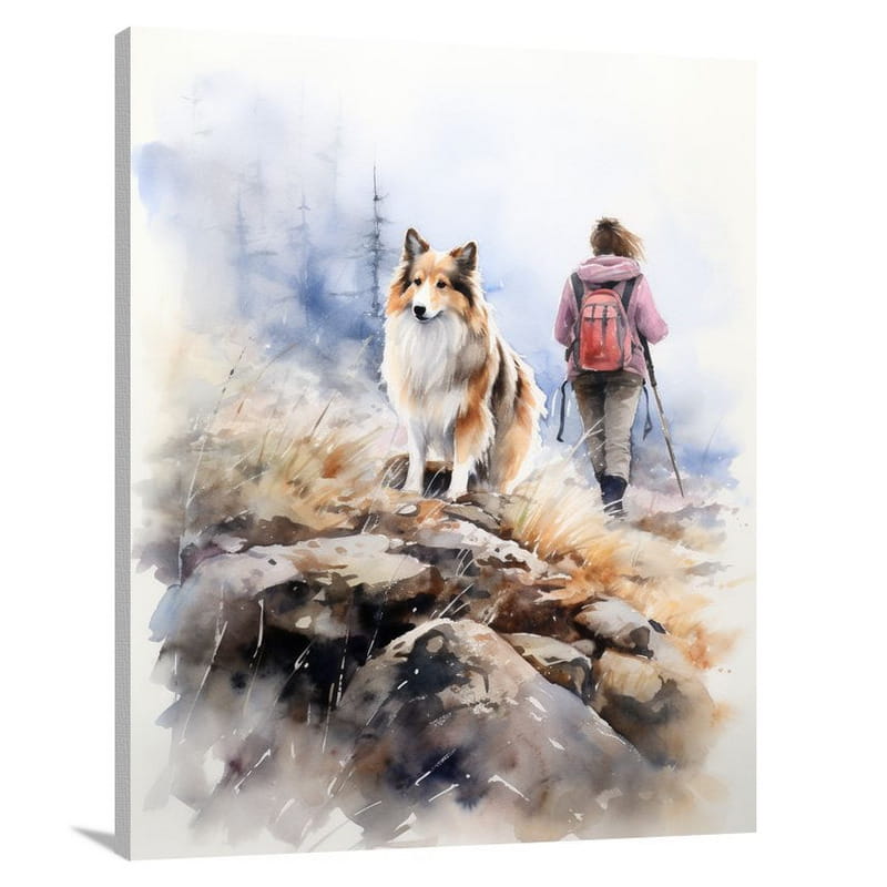 Shetland Shepherdess - Canvas Print