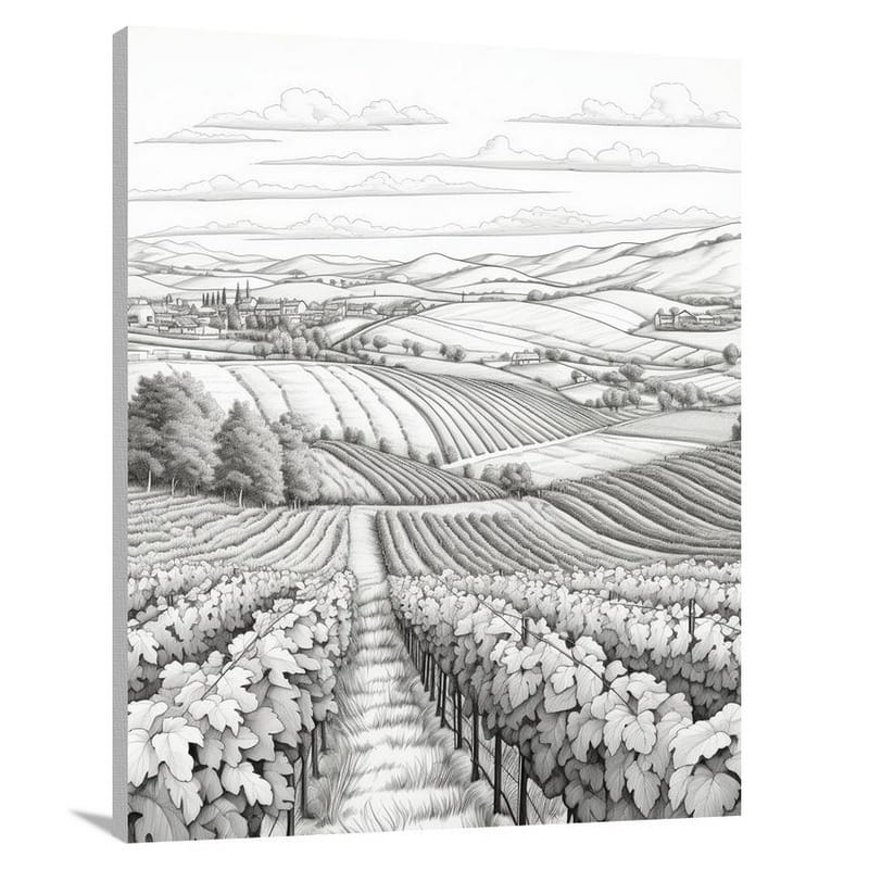 Slovenian Vines - Canvas Print