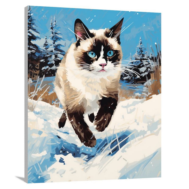 Snowshoe Cat's Winter Dance - Canvas Print