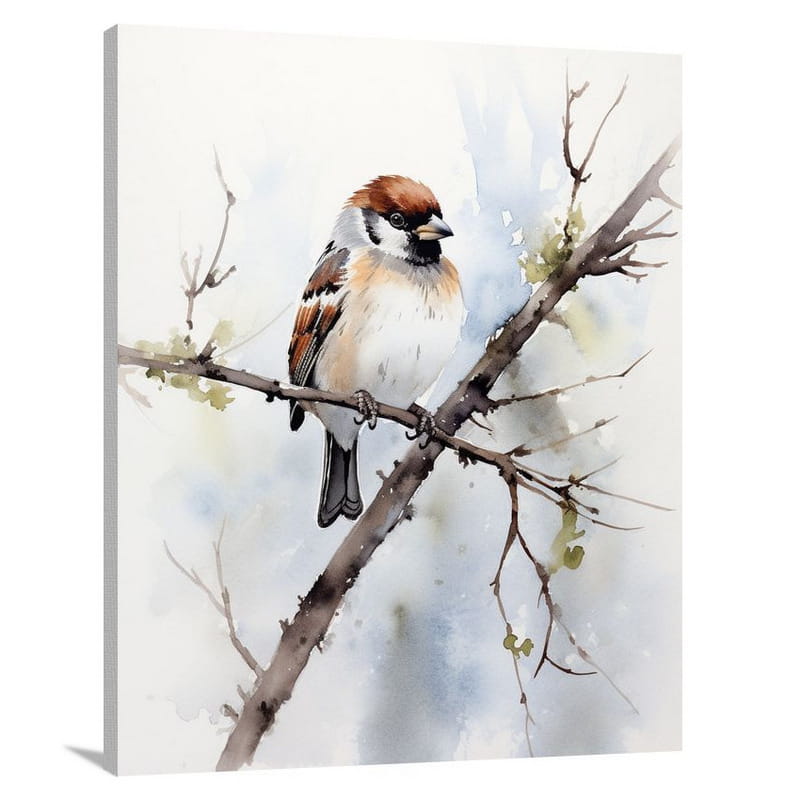 Sparrow's Solitude - Watercolor - Canvas Print