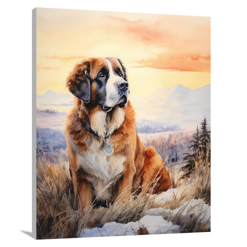 St. Bernard's Serenity - Canvas Print