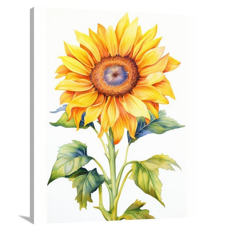 Sunflower - Watercolor - Canvas Print