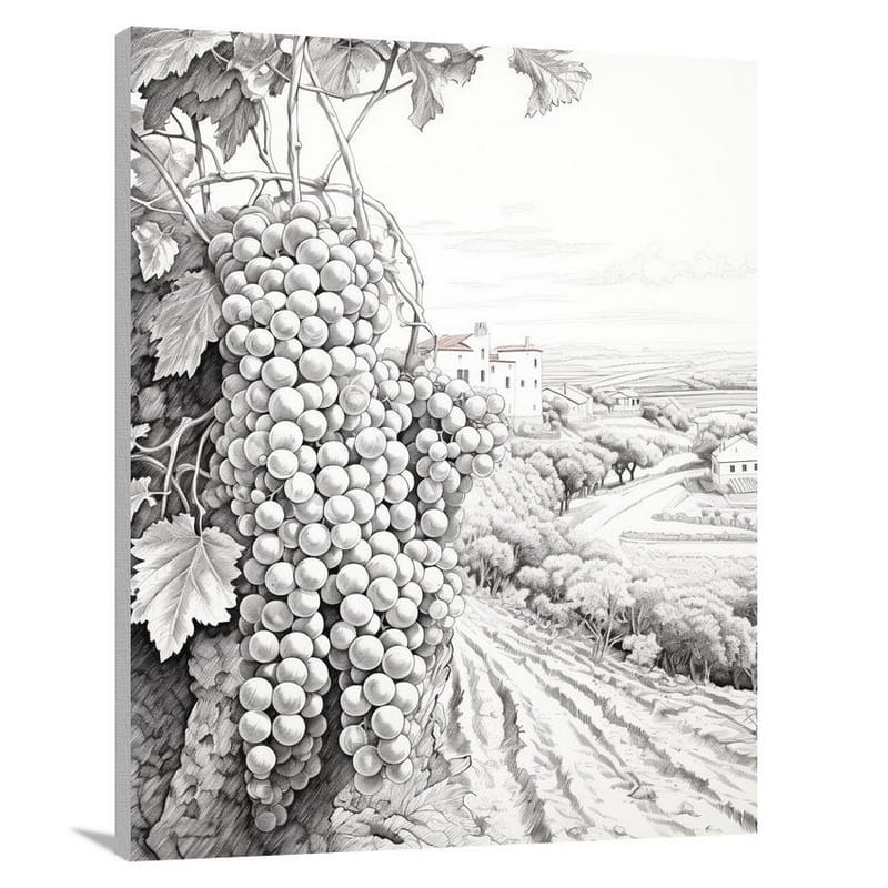 Sweet Harvest - Black And White 2 - Canvas Print