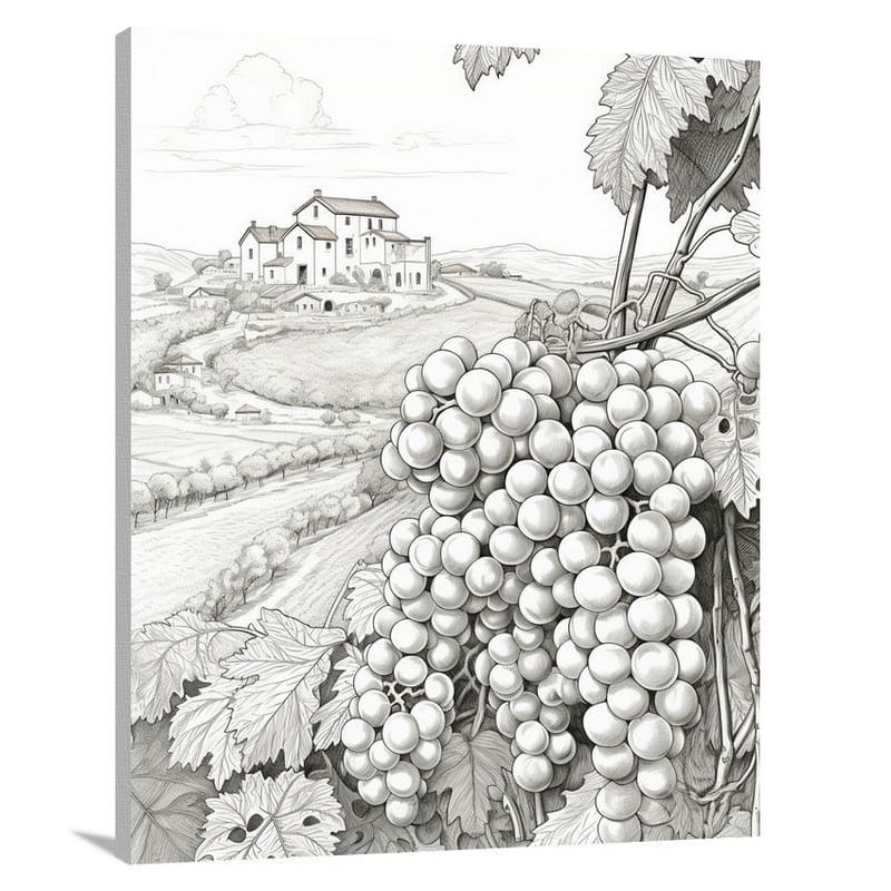 Sweet Harvest - Black And White - Canvas Print
