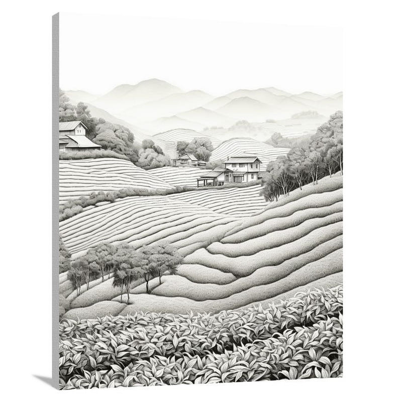 Tranquil Tea Plantations: Turkey, Asia - Canvas Print