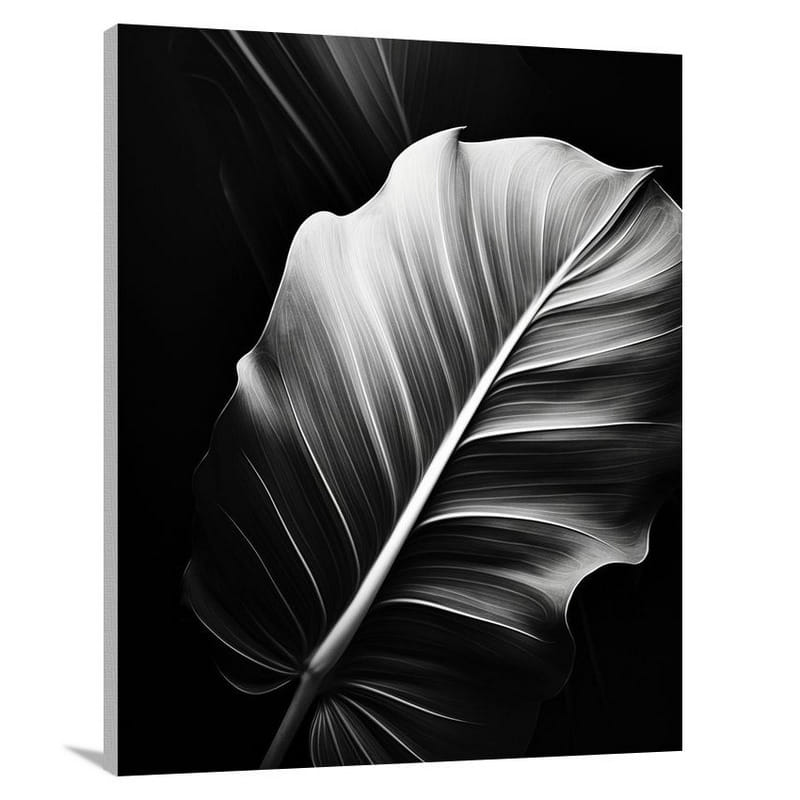 Tropical Leaf Serenity - Canvas Print