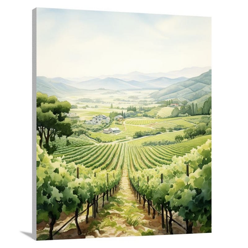 Vineyard Serenity - Canvas Print