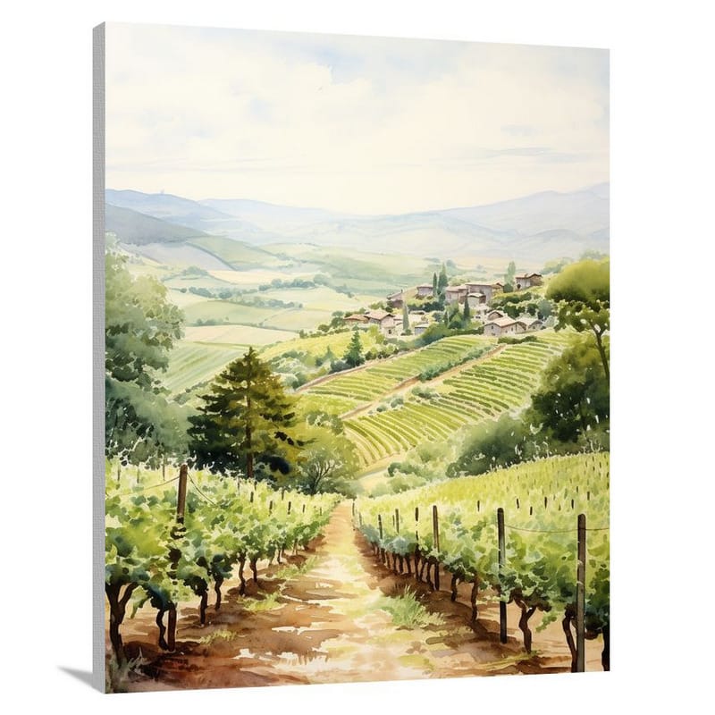 Vineyard Serenity - Watercolor - Canvas Print