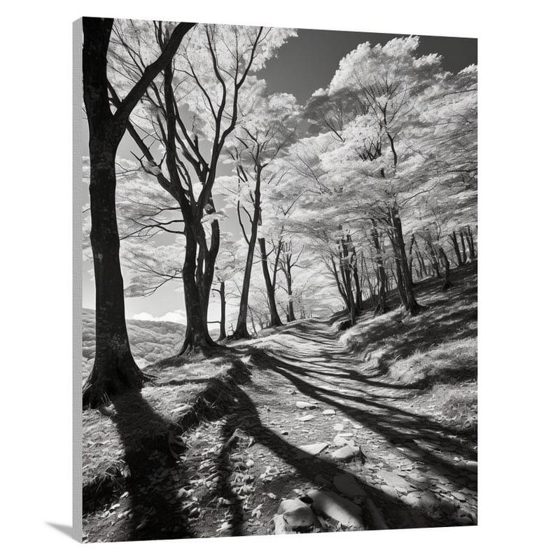 Virginia's Autumn Symphony - Black And White - Canvas Print