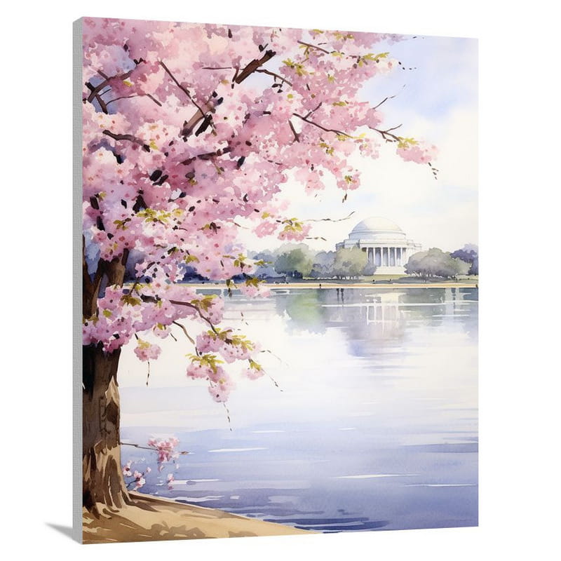 Washington DC: Cherry Blossom Serenity - Canvas Print