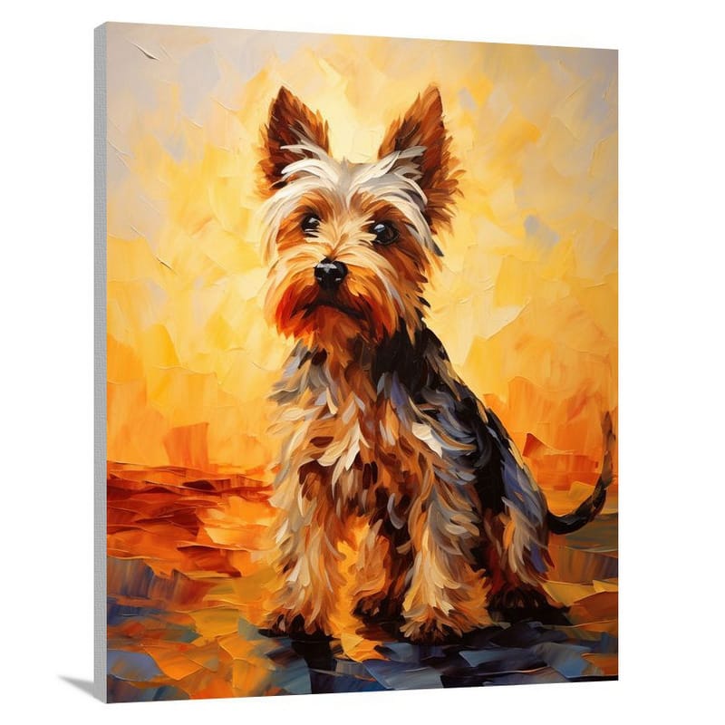 Yorkshire Terrier's Sunset Stroll - Canvas Print